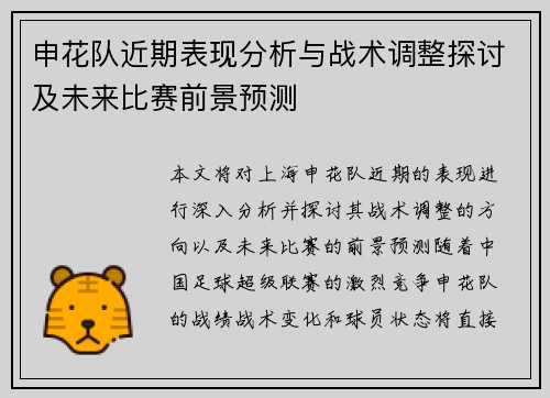 申花队近期表现分析与战术调整探讨及未来比赛前景预测