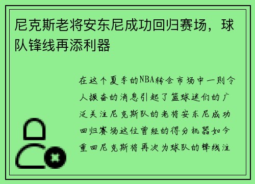 尼克斯老将安东尼成功回归赛场，球队锋线再添利器